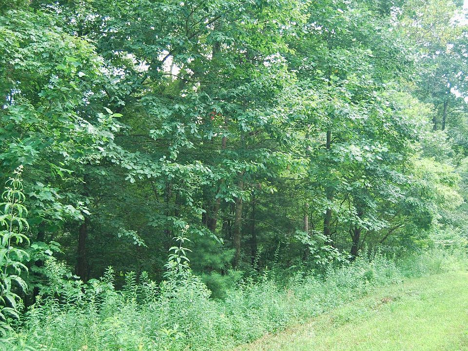 2nd image of Blackberry Mountain Rd