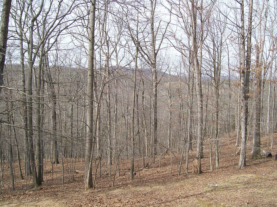 2nd image of Jacksontown Rd