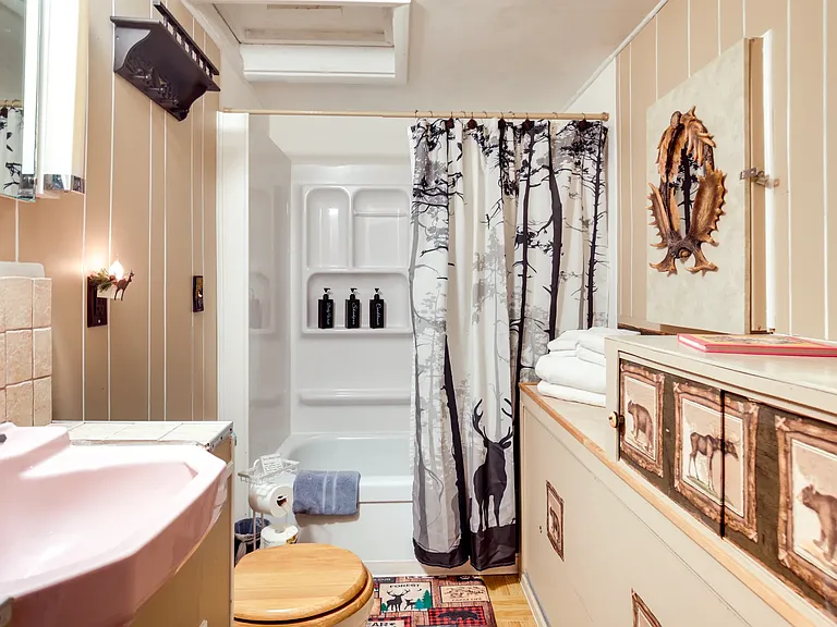 Shower and tub combo. Lots of light. New Self cleaning toilet. Lake front property rental Upper Peninsula