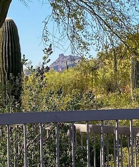 3347 N Boulder Cyn — Photo 27