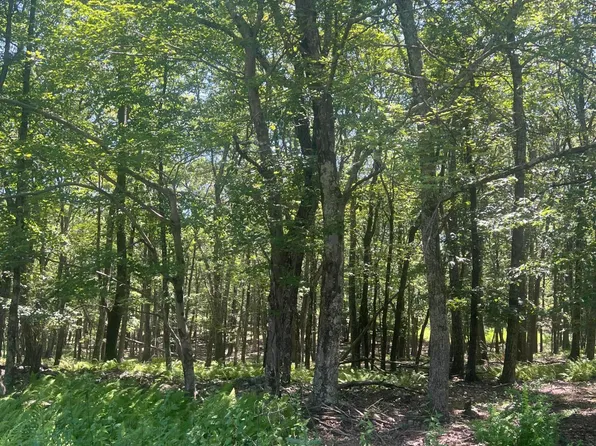 315 Doe Loop, Bushkill, PA 18324