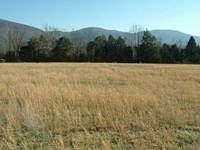 1st image of 23097 Old State Highway 28