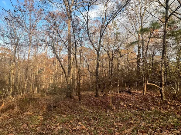 County Road 391, Winfield, AL 35594