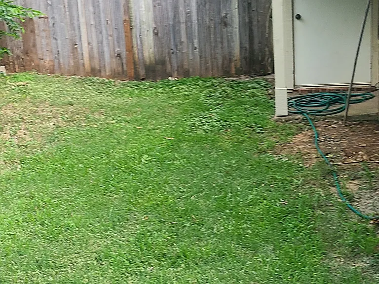 Back yard, storage room