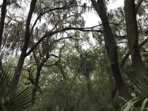 12641 W Amur Maple Pl, Crystal River, FL 34428