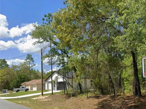 1541 W Elder Ln, Citrus Springs, FL 34434