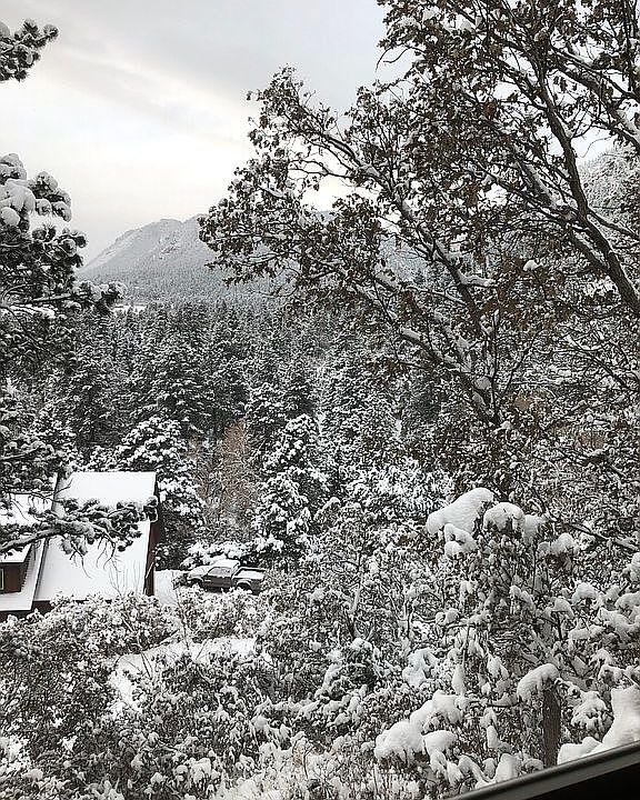 View from living room