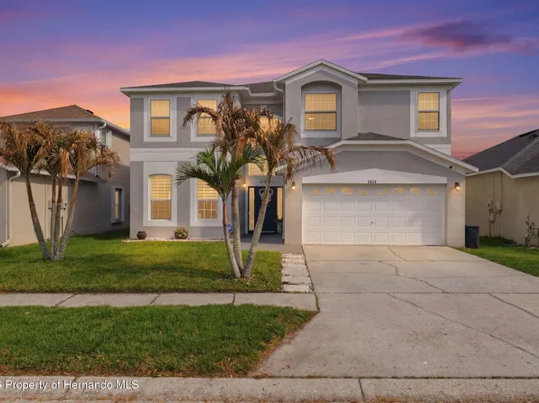 1312 Brooke View Dr, Odessa, FL 33556