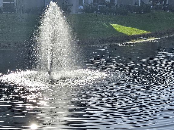 pond out back