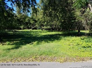 427 E Coll St, New Braunfels, TX 78130