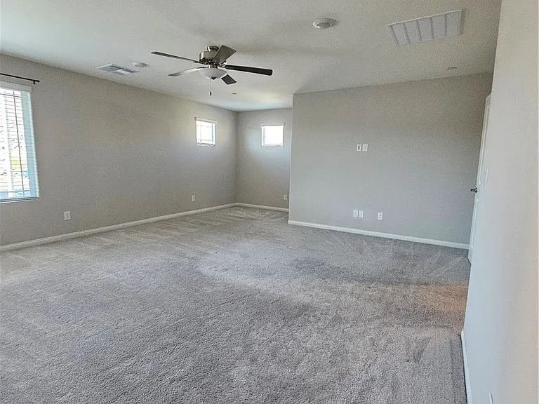 10790 Wild Parsley Ave — Photo 21