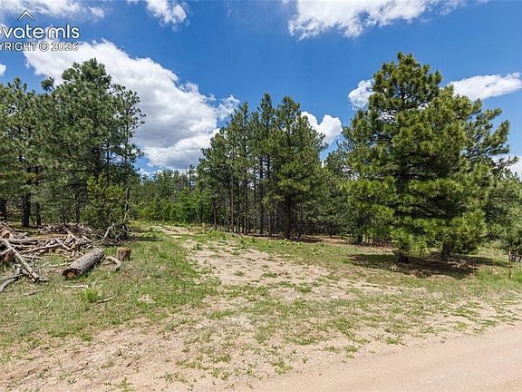 2nd image of 8719 Ponderosa Pine Dr
