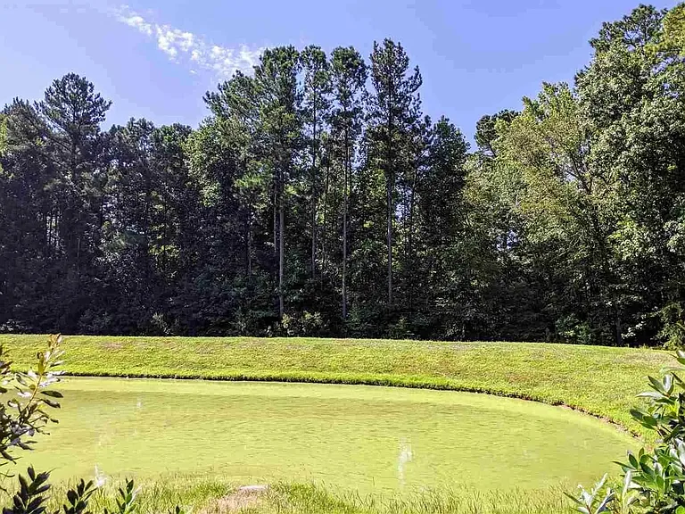 216 Skyros Loop — Photo 18