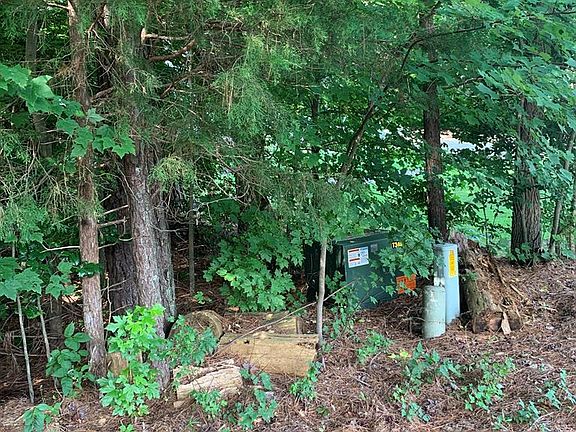 5th image of Hemlock Dr