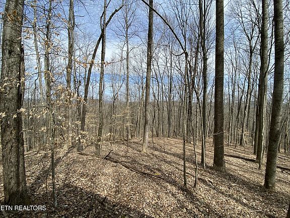 4th image of 2297 Shady Cove Rd