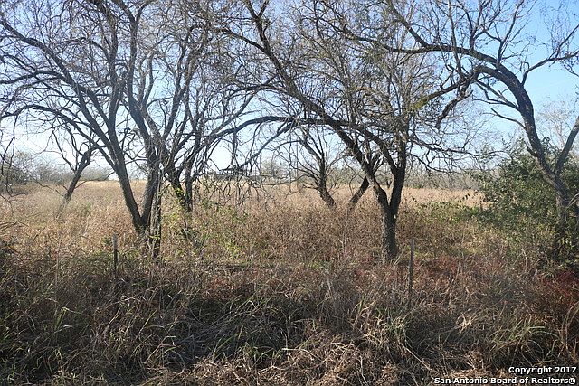 2nd image of 661 County Road 121