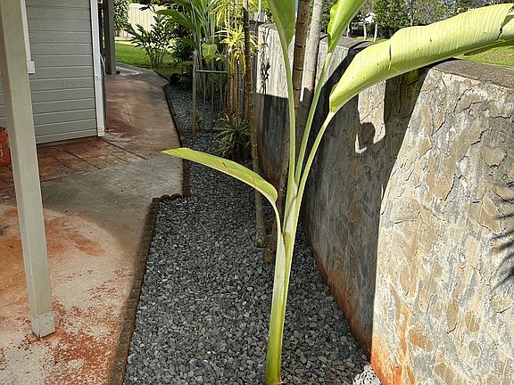 Beautiful rock garden