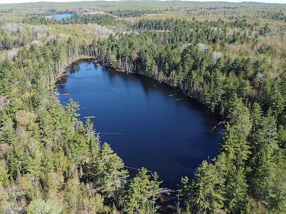 2nd image of On Tahquamenon Truck Trail Rd