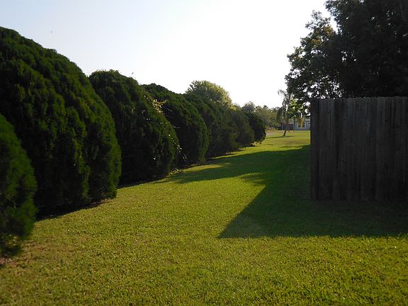 Side yard