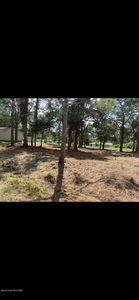 566 Ixora Ave NW, Palm Bay, FL, 32907