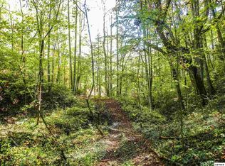 3 Obes Branch Rd, Sevierville, TN 37876