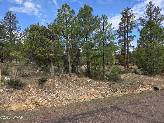 2nd image of 3332 Sawmill Ridge Loop