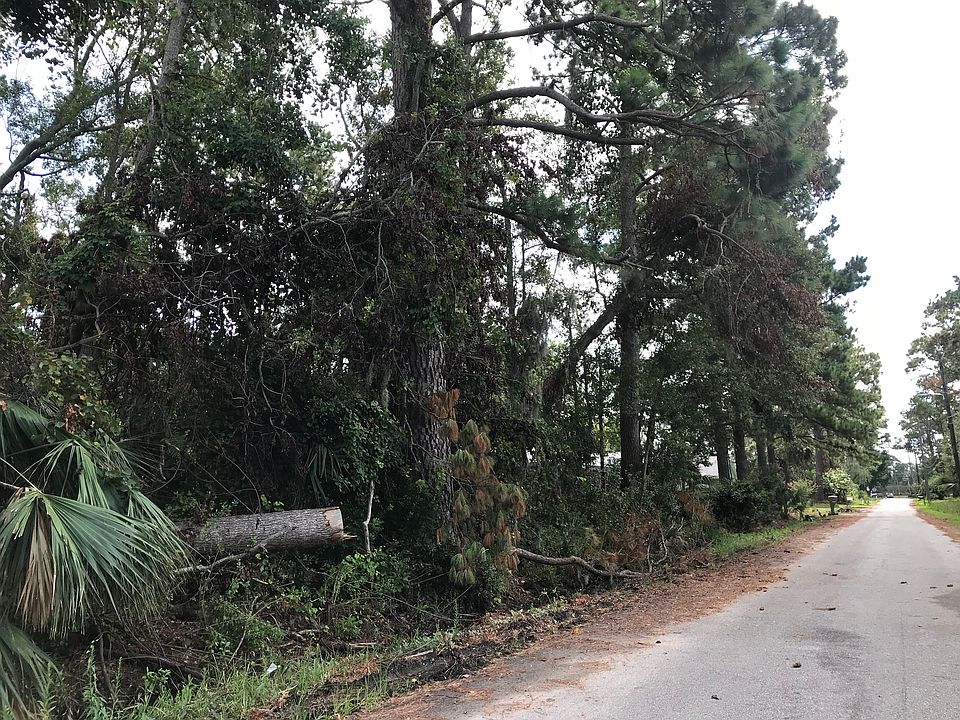 2nd image of Wilma Ave