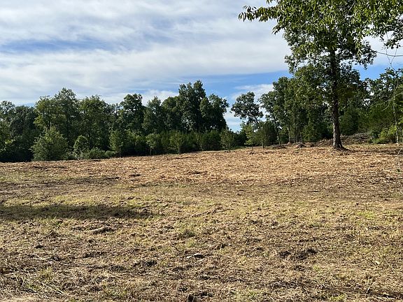 4th image of Wartrace Pike
