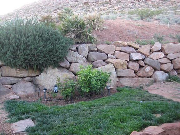 Back yard