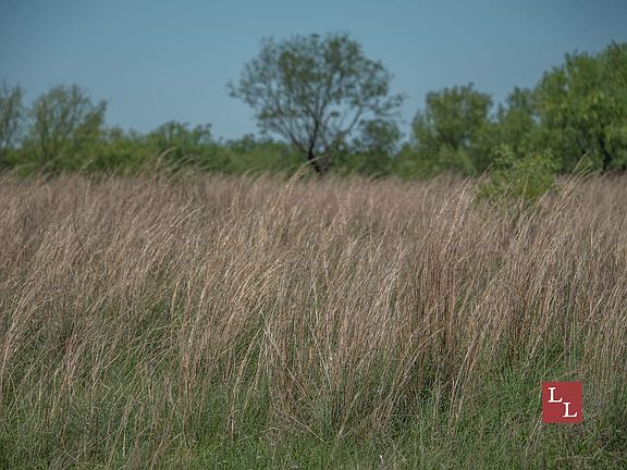 Mesquite Plateau Still Rs 21