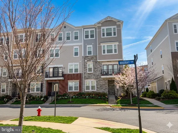 24584 Rosebay Ter, Aldie, VA 20105