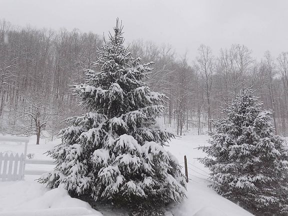 81st image of this home