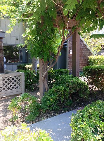 1st image of 1007 La Terrace Cir #1007