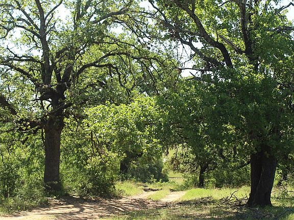 5th image of 8407 E Fm 1431