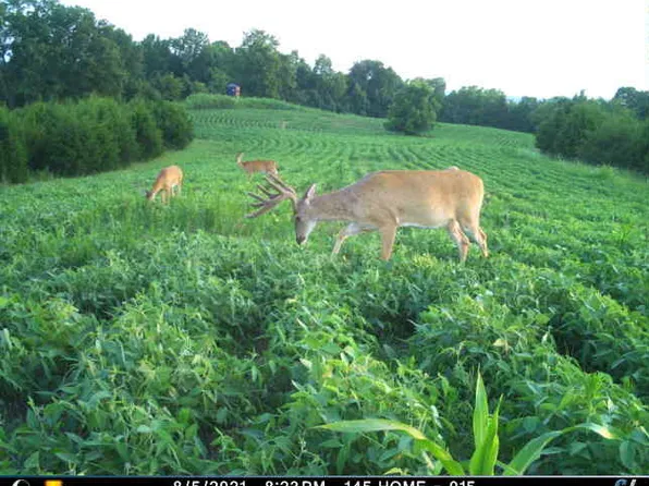 0 Mann Rd, Mount Olivet, KY 41064