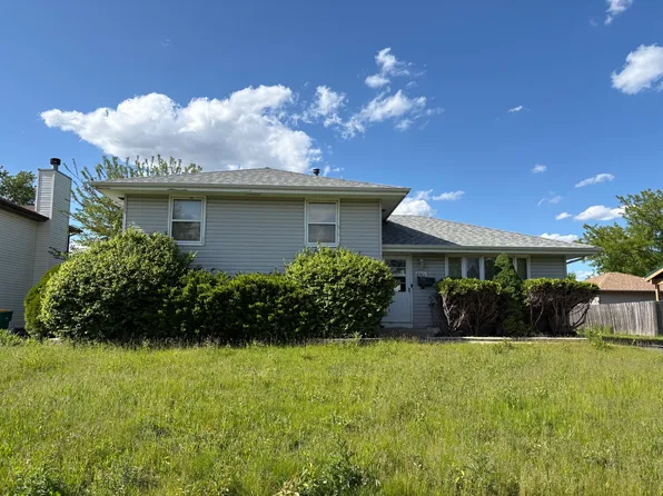 6501 Walter Adamic Ln, Plainfield, IL 60586