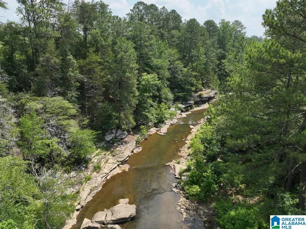 11 Foot Rd #0, Carbon Hill, AL 35549