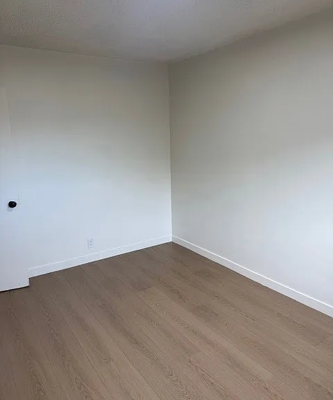 787 Gardenia Ave — Photo 6
