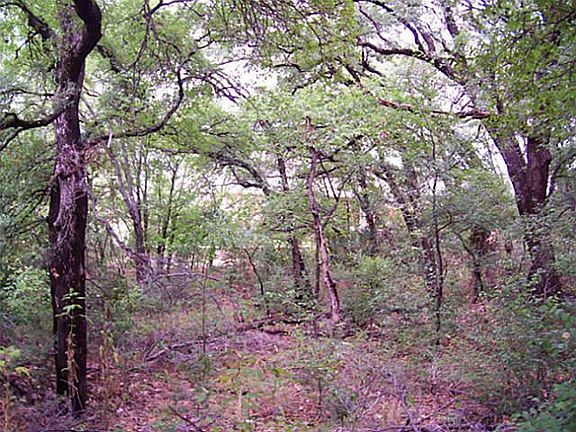 5th image of 2407 Shadydale Dr