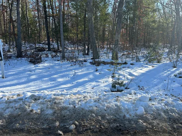 Lake Park, Idlewild, MI 49642