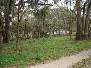 13408 Freeman Ct, Dover, FL 33527