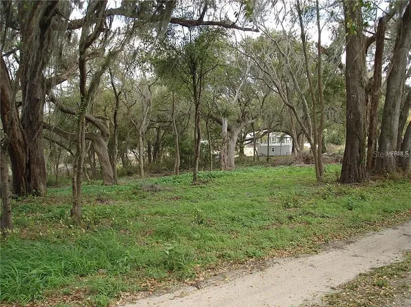 13408 Freeman Ct, Dover, FL 33527