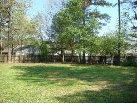 Large back yard