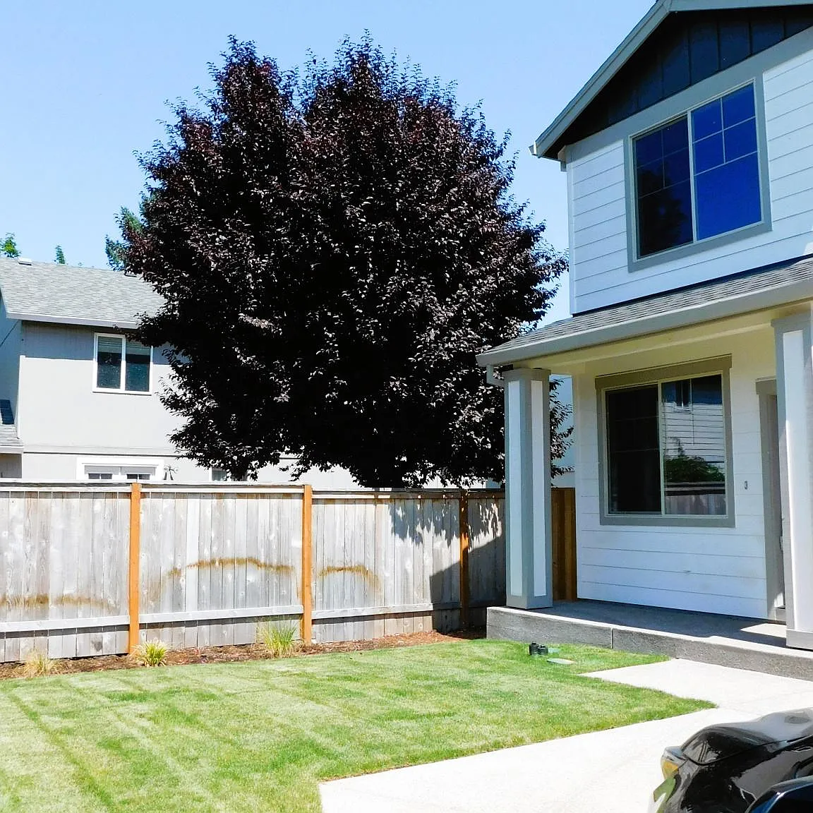 5 bed, 2305 sqft, $2,995 — Photo 1