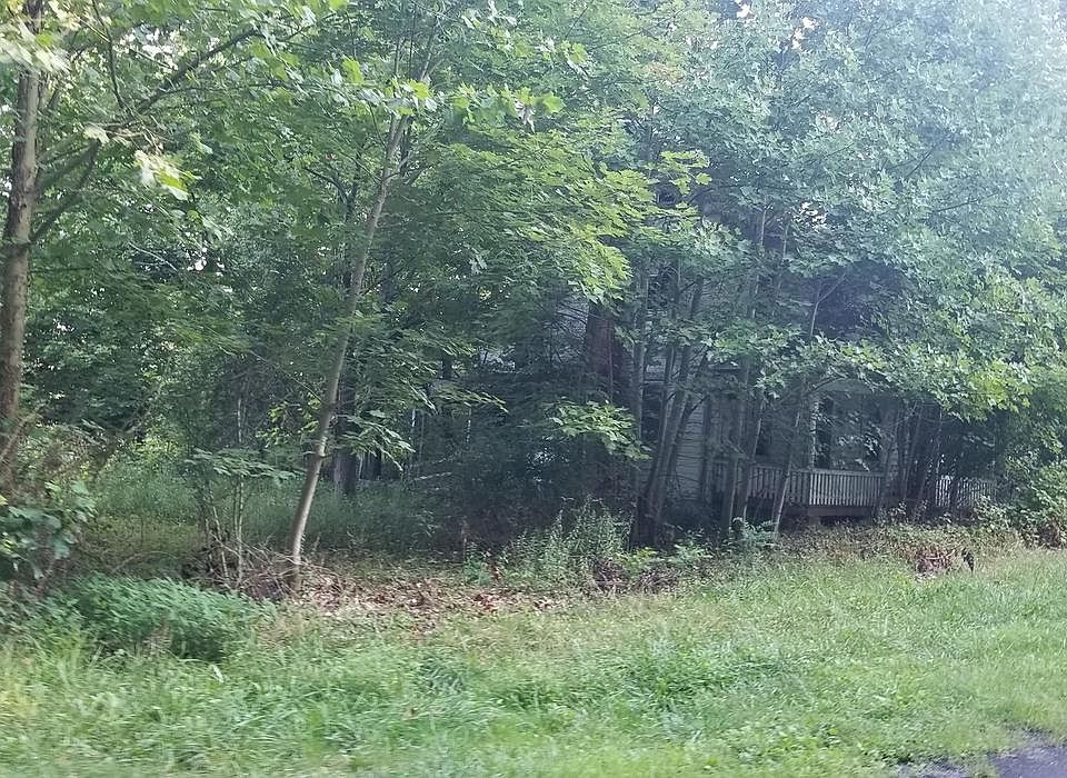2nd image of 11208 Crystal Falls Dr