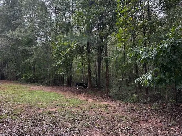 0 Hurt Bridge Rd #1, Cumming, GA 30028