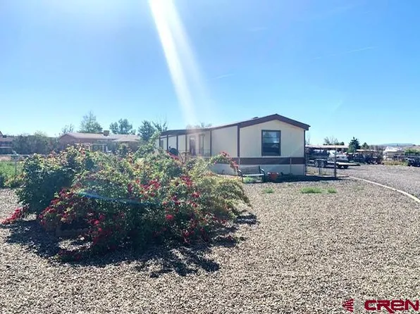 13304 Valley View Drive, Eckert, CO 81418