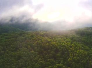 Raenne Dr, Spring City, TN 37381