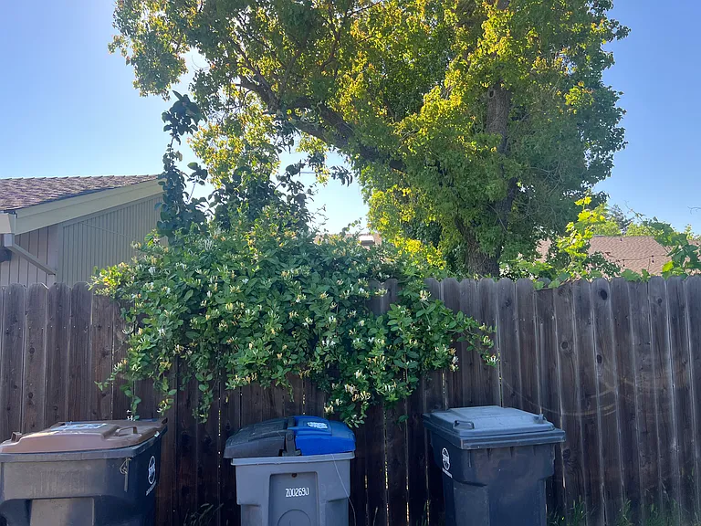 1417 Lake Blvd — Photo 32