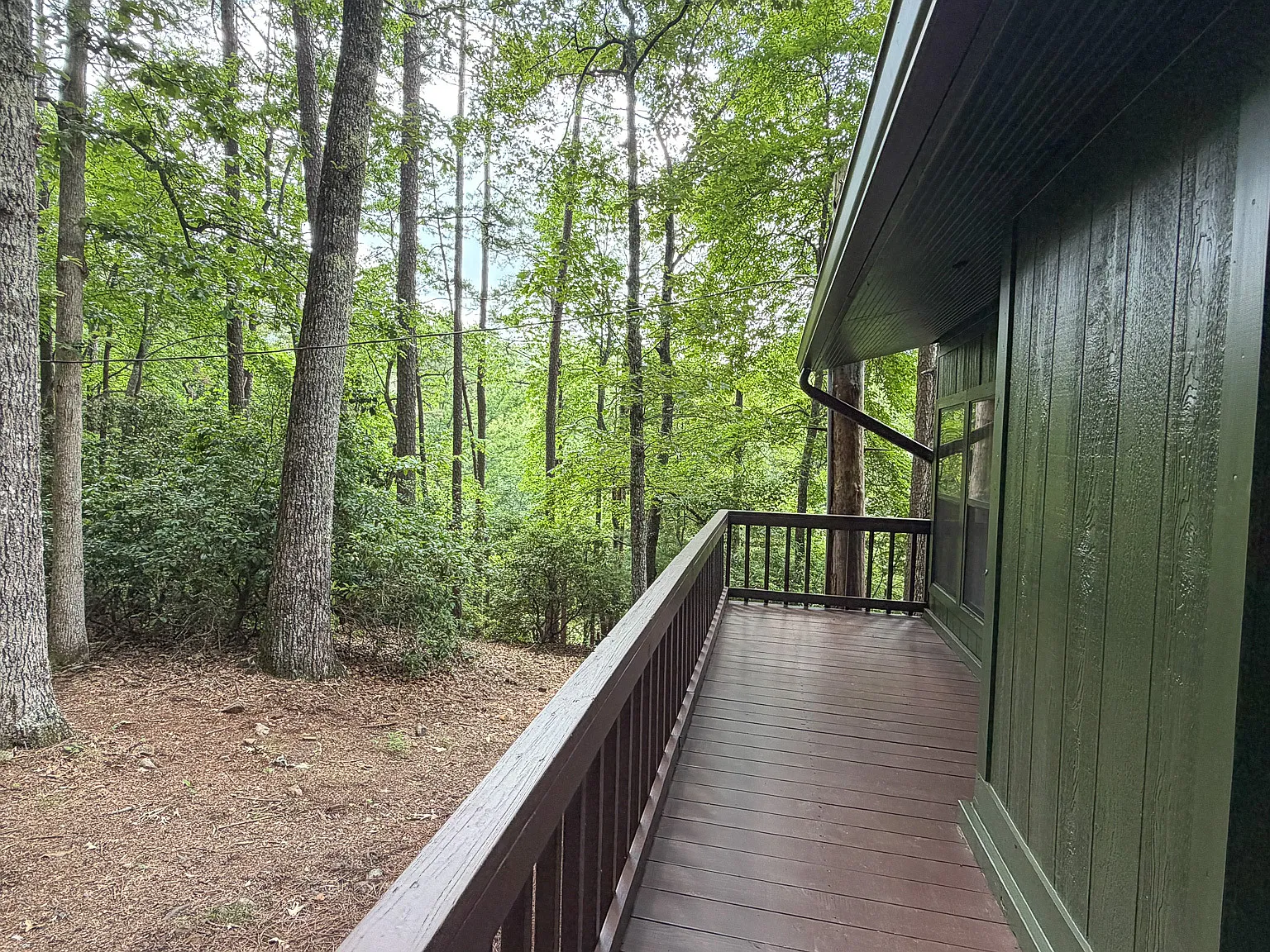1253 Tipton Springs Road - 1 — Photo 4